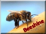 Aliment complémentaire pour abeilles